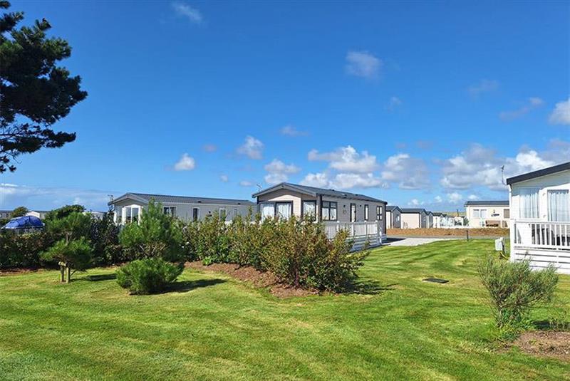 Regal Osprey 2010 - Static Caravan for sale in Perranporth