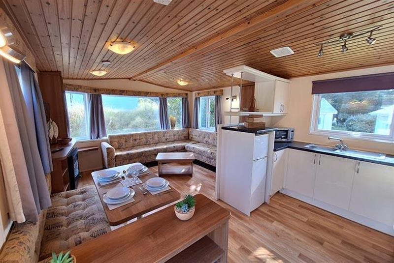Regal Osprey 2010 - Static Caravan for sale in Perranporth